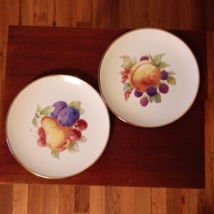 Vintage Hutschenreuther fruit design plates